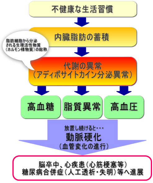 メタボリックシンドローム